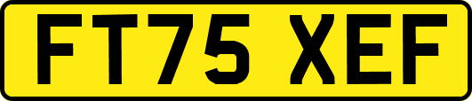 FT75XEF