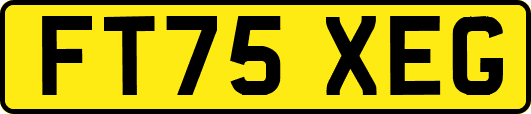 FT75XEG