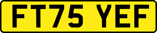 FT75YEF
