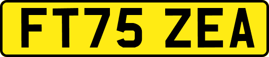 FT75ZEA