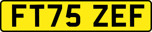 FT75ZEF
