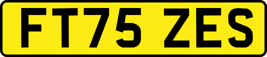 FT75ZES