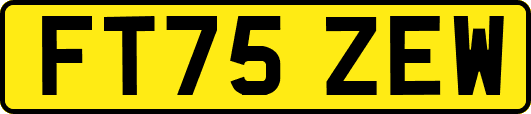 FT75ZEW