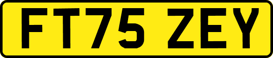 FT75ZEY