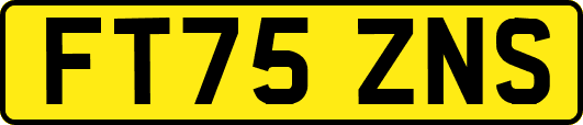 FT75ZNS