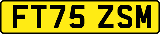 FT75ZSM
