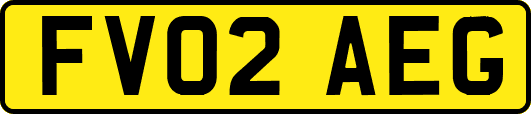FV02AEG