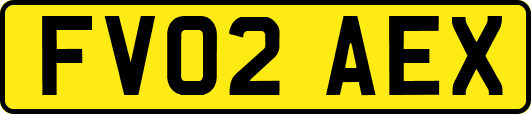 FV02AEX