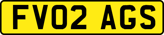 FV02AGS