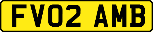 FV02AMB