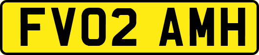 FV02AMH