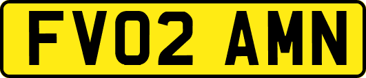 FV02AMN