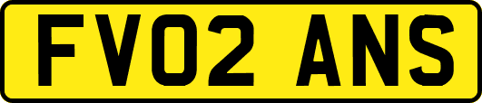FV02ANS
