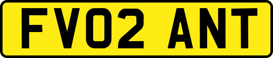 FV02ANT
