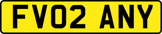 FV02ANY