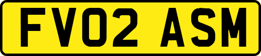 FV02ASM