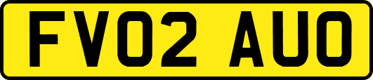 FV02AUO
