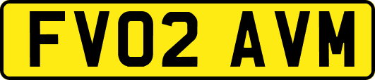 FV02AVM