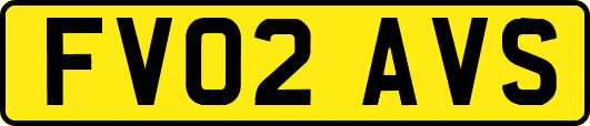 FV02AVS