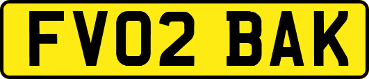 FV02BAK