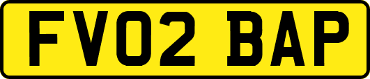 FV02BAP
