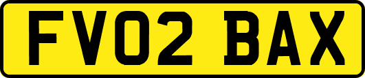 FV02BAX
