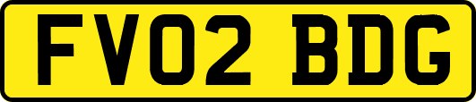 FV02BDG