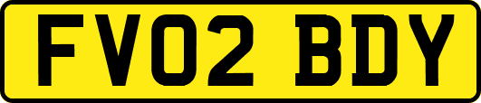 FV02BDY
