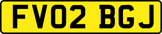 FV02BGJ