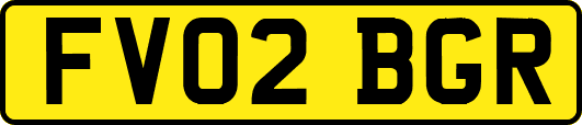 FV02BGR