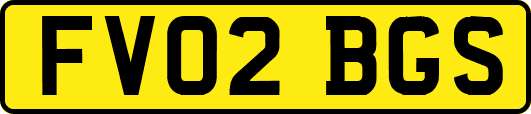 FV02BGS
