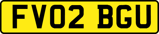 FV02BGU
