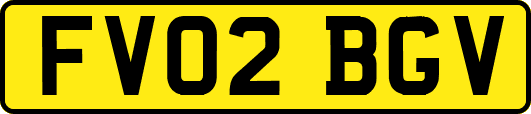 FV02BGV