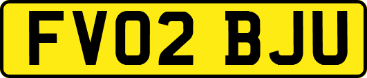 FV02BJU