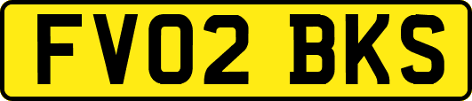 FV02BKS