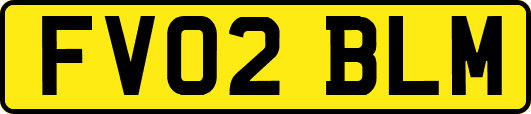 FV02BLM