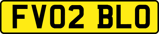 FV02BLO