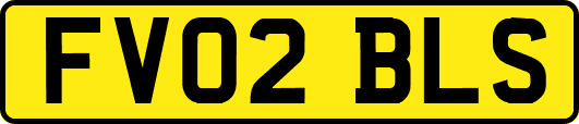 FV02BLS