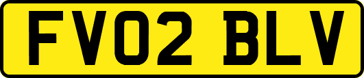 FV02BLV