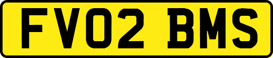 FV02BMS
