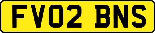 FV02BNS