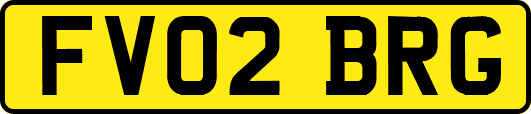 FV02BRG