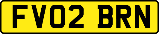 FV02BRN