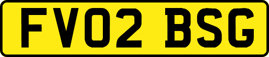 FV02BSG