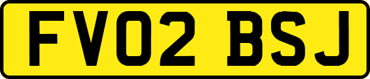 FV02BSJ