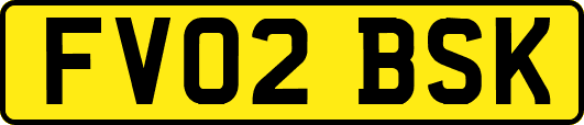 FV02BSK
