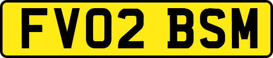 FV02BSM