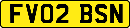 FV02BSN
