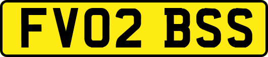 FV02BSS