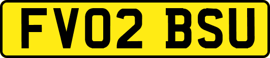 FV02BSU